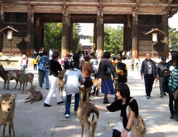 Nara
