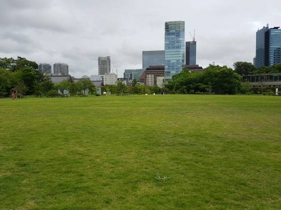A grassy area of Shiba Park with tall buildings in the background
