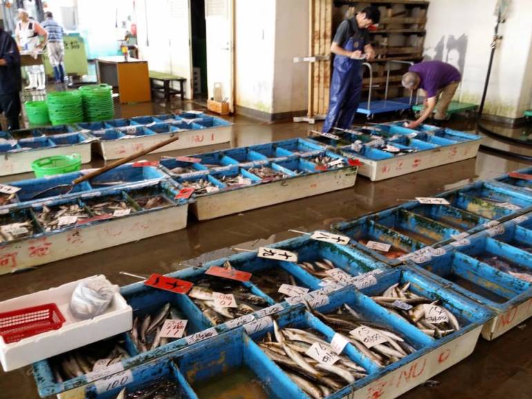 Apart from tuna, the fish market also deals with other fresh seafood caught in the region.
