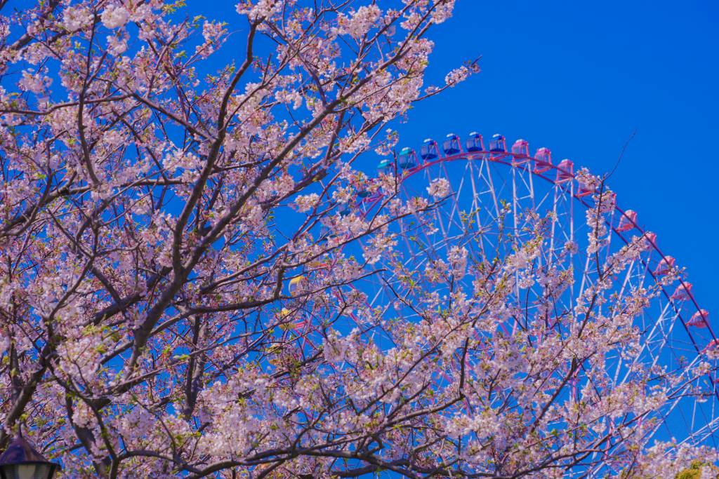 Kasai Rinkai Koen Cheapo Amusement Park Tokyo Cheapo