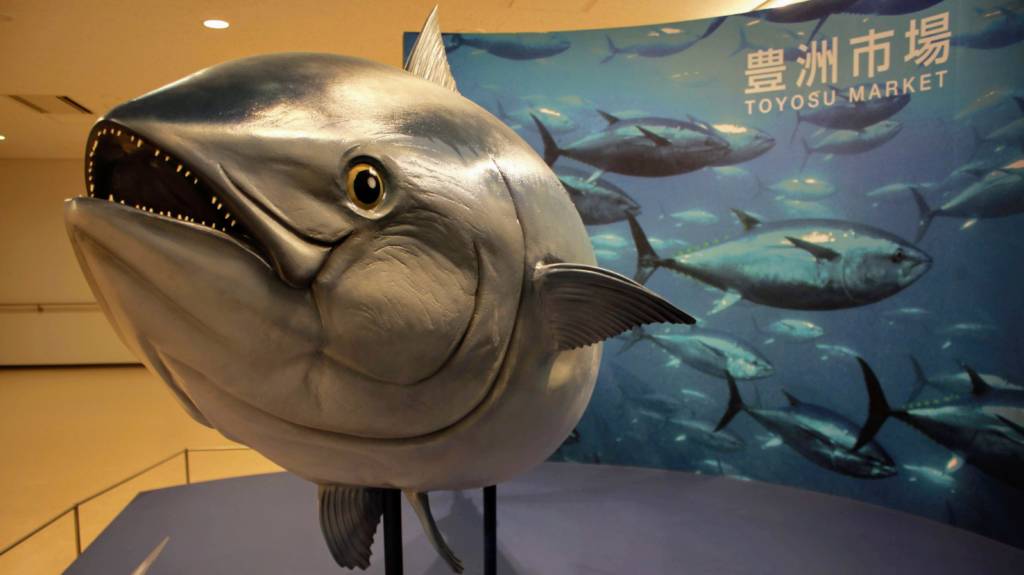 Toyosu tuna auction