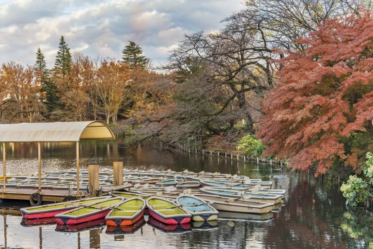 秋天的井之頭公園