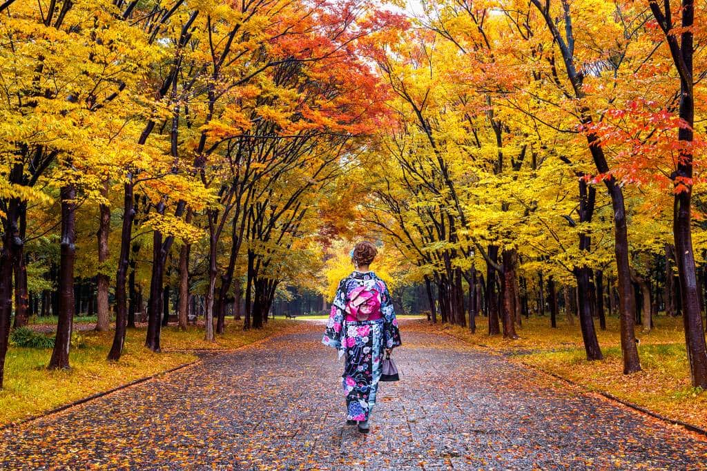 tokyo autumn