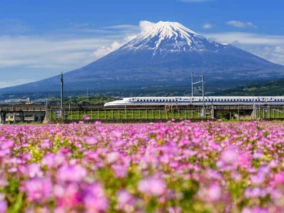 Shinkansen bullet train pass Mountain fuji
