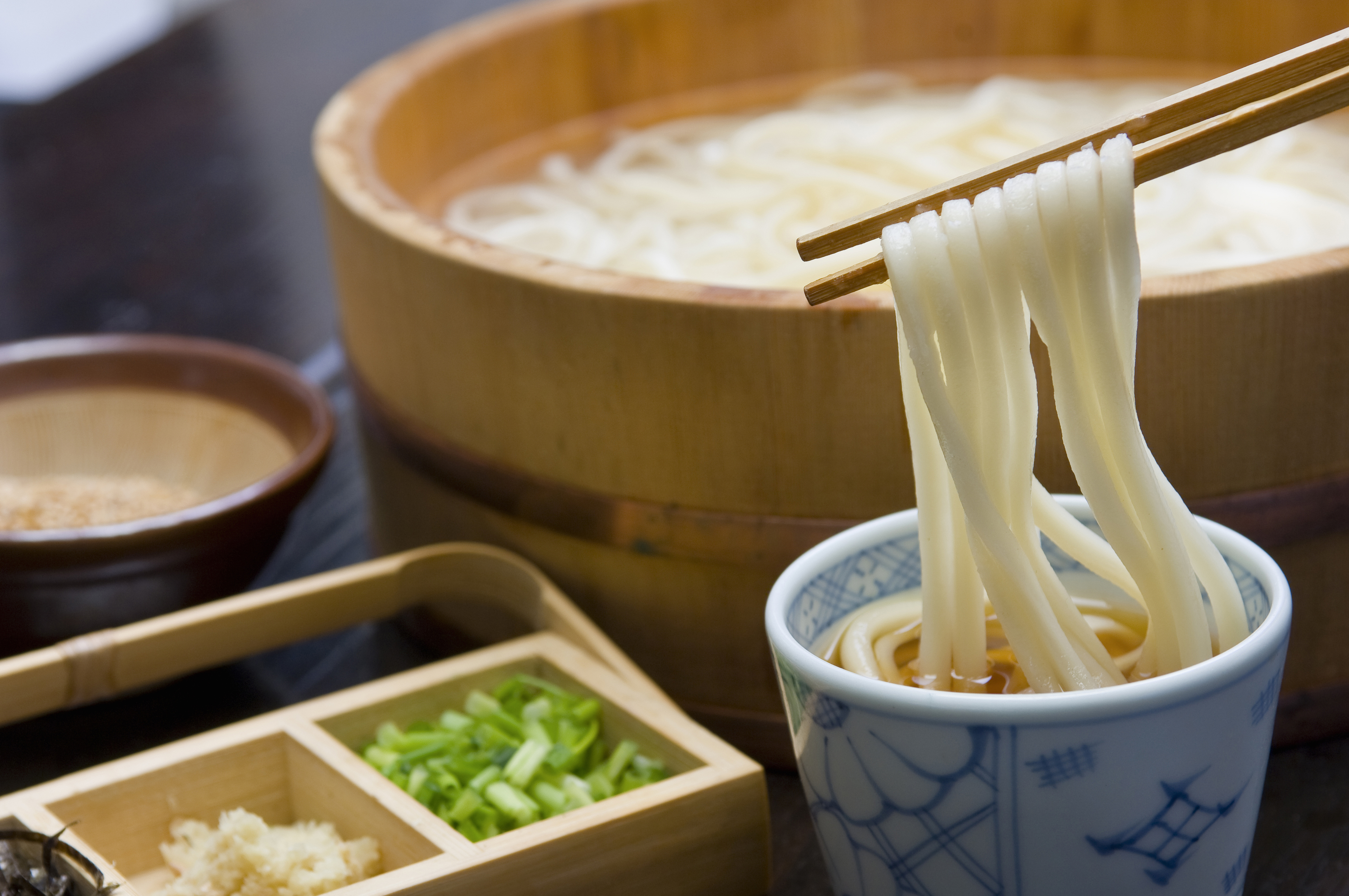 Sainuki udon with toppings