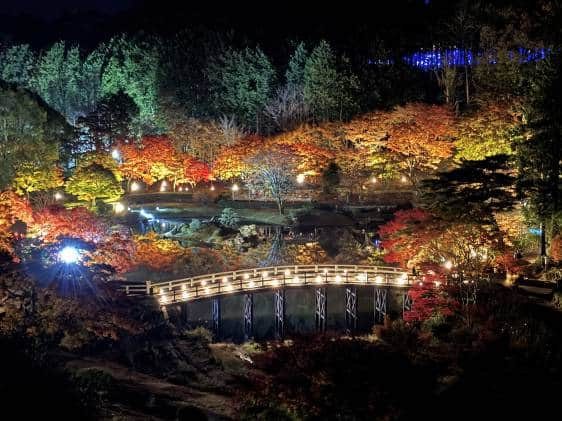 niji-no-sato illuminations in autumn